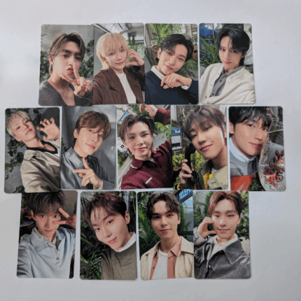 Seventeen expiration date 消費期限 type B ver photocard 13pcs set