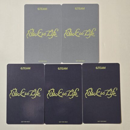 &TEAM KR Back To Life Lucky Draw R2 Deco Photocard