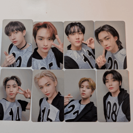 Stray Kids 5-star dome tour photocard