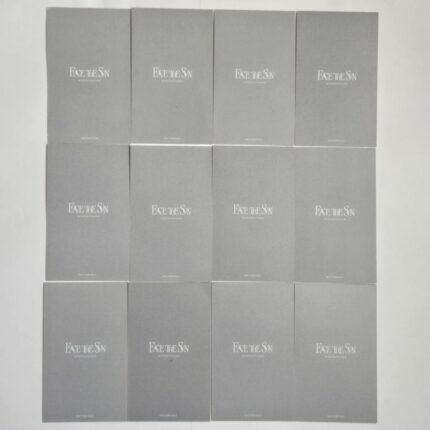 Seventeen Face The Sun Tower Records POB Photocard