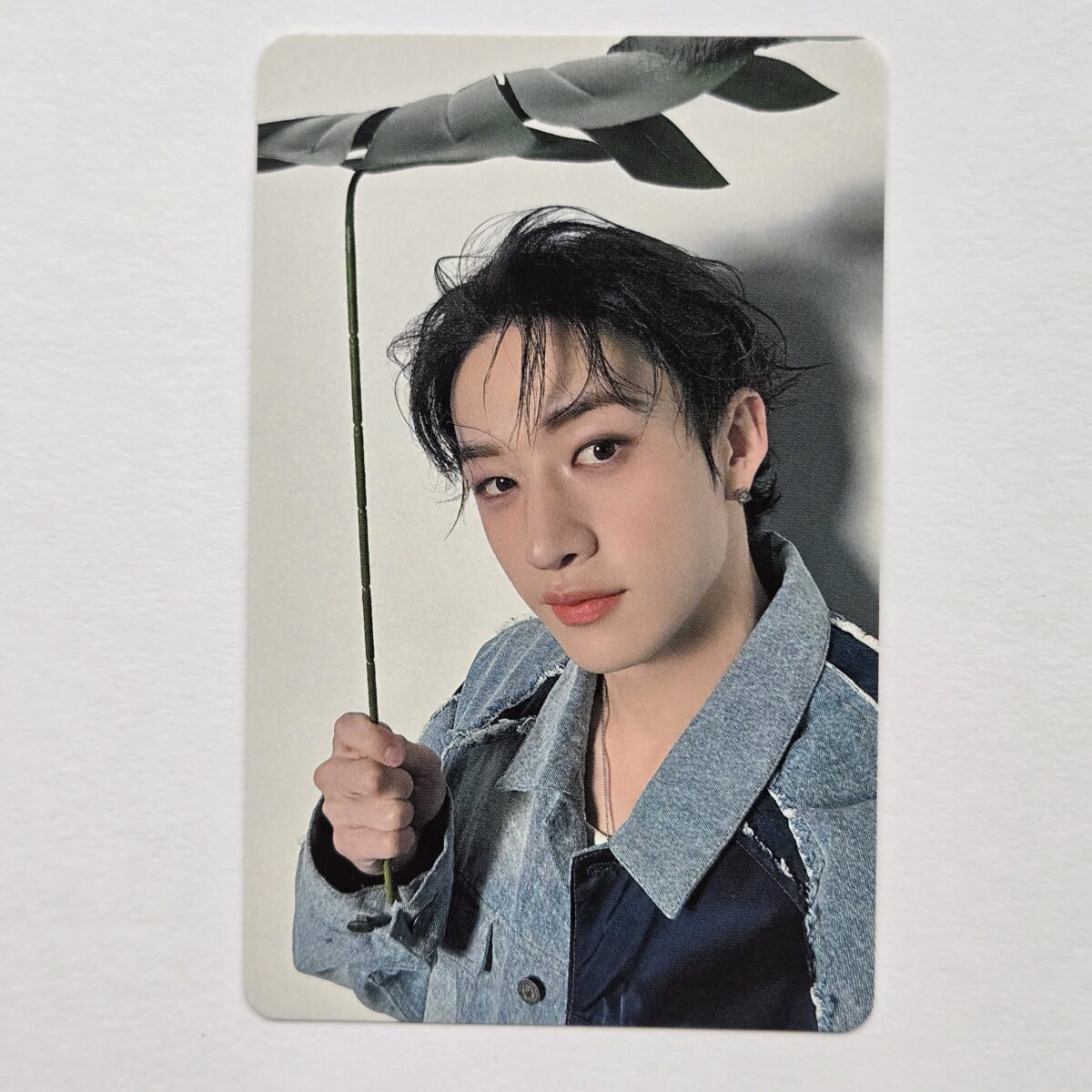 Stray Kids dominATE JAPAN venue limited photocard