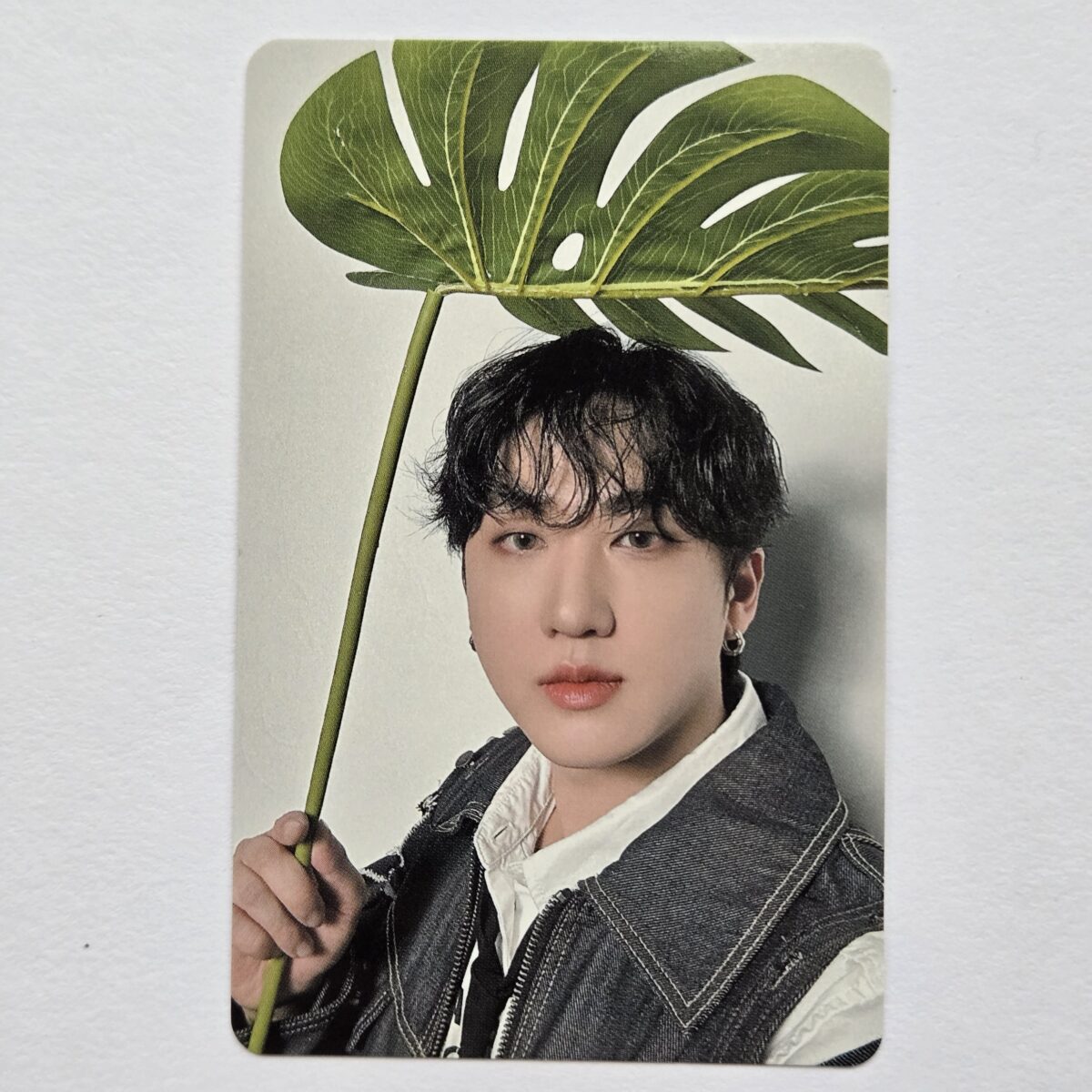 Stray Kids dominATE JAPAN venue limited photocard
