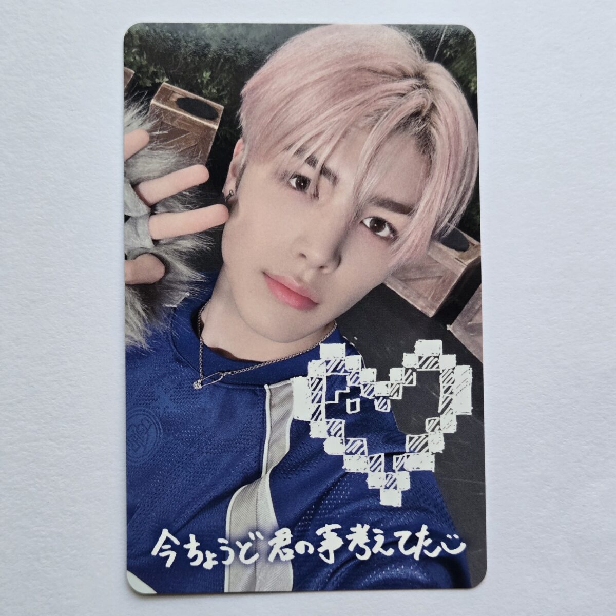 &TEAM KR Back To Life Weverse Lucky Draw Deco Photocard