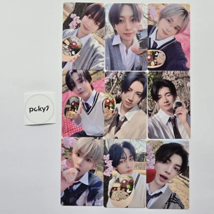 &TEAM Photocards | Official K-POP Items from Japan