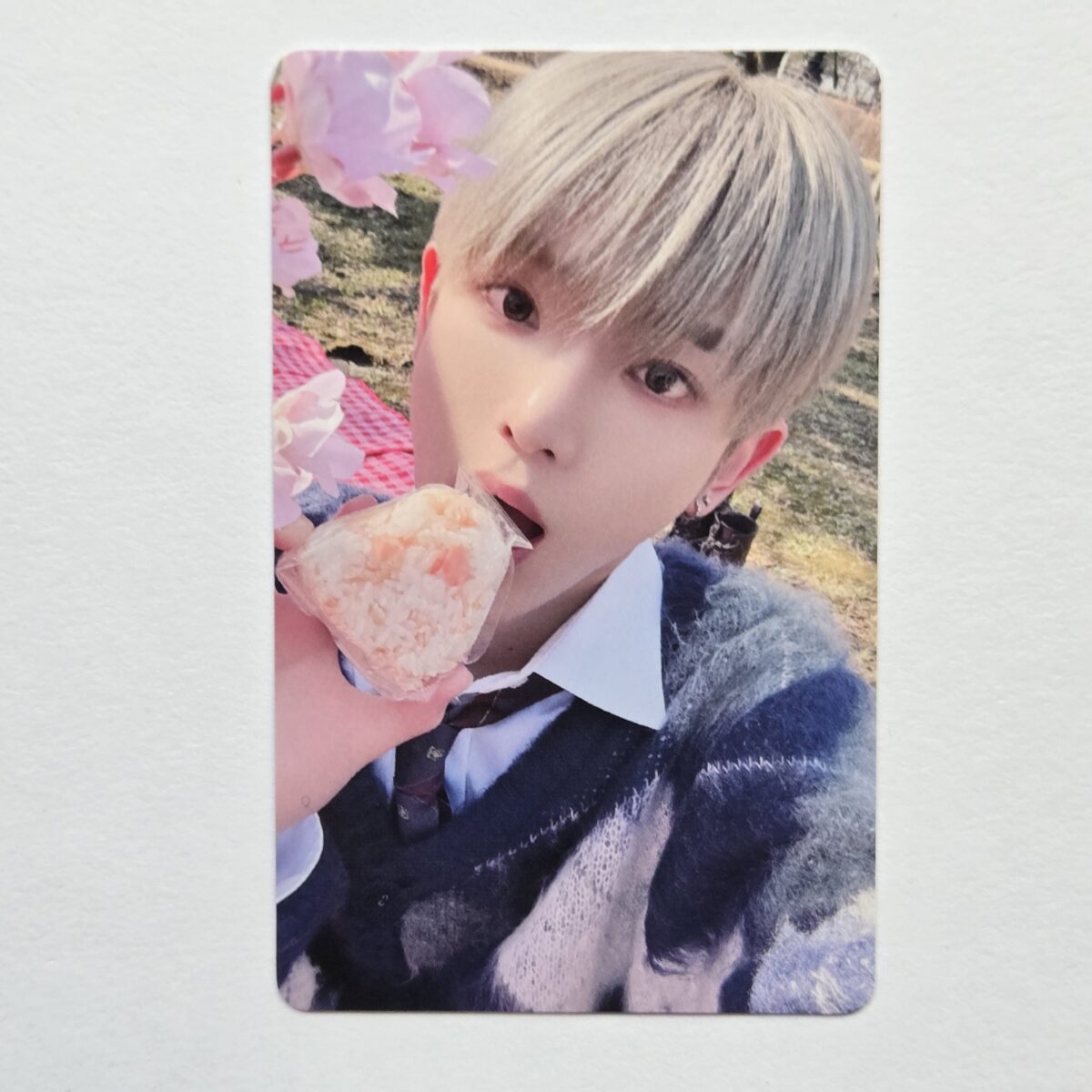 &TEAM 月狼 Go in Blind Weverse Lucky Draw Photocard
