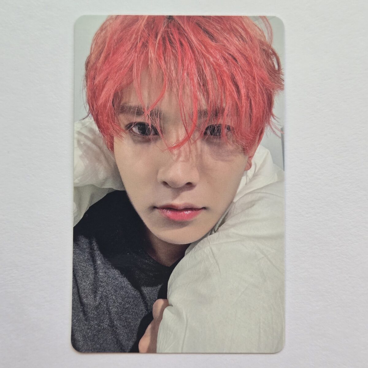 Enhypen Daydream LD photocard