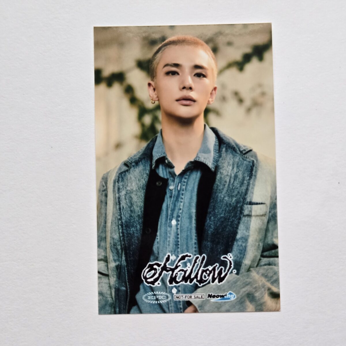 Stray Kids Hollow Neowing POB Sticker
