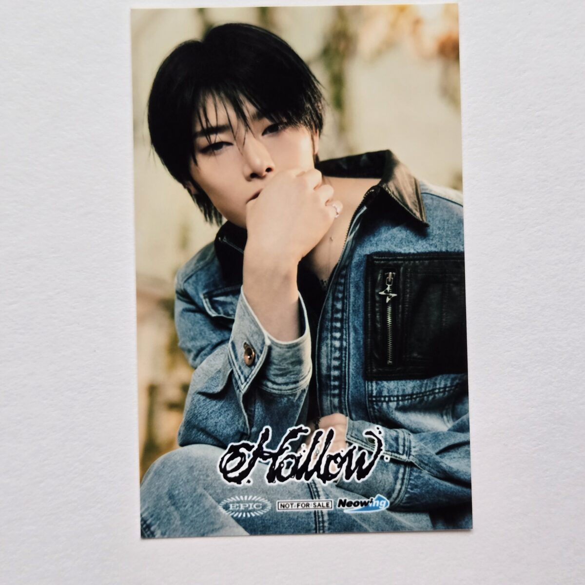 Stray Kids Hollow Neowing POB Sticker