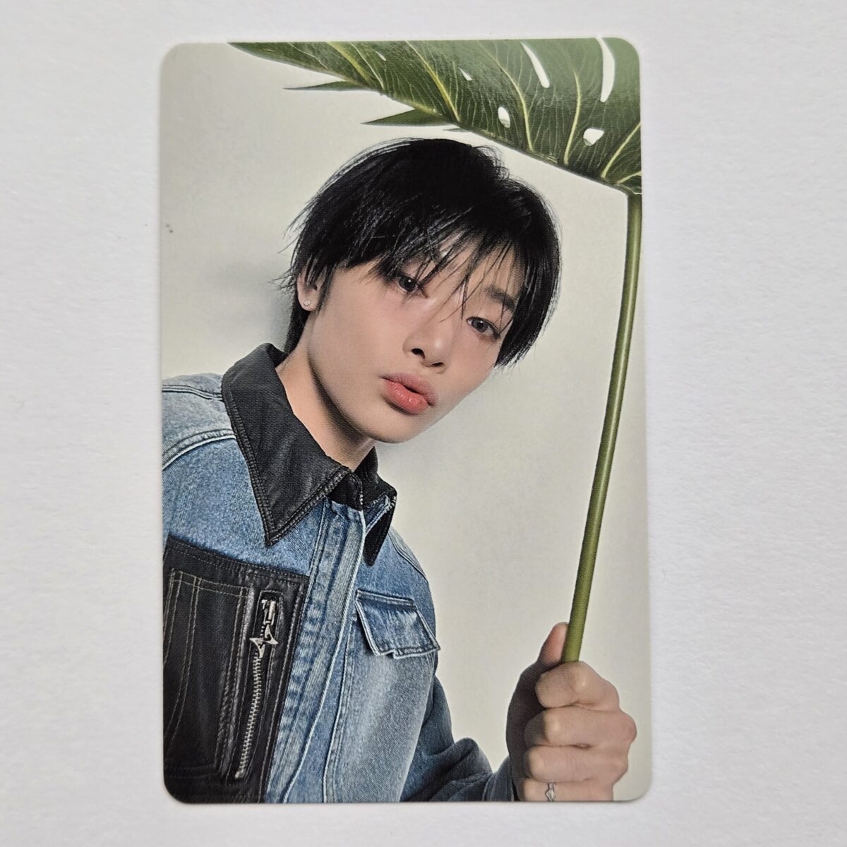 Stray Kids dominATE JAPAN venue limited photocard