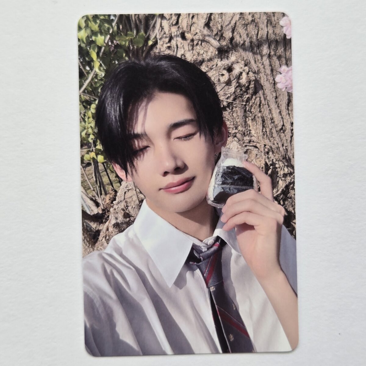 &TEAM 月狼 Go in Blind Weverse Lucky Draw Photocard