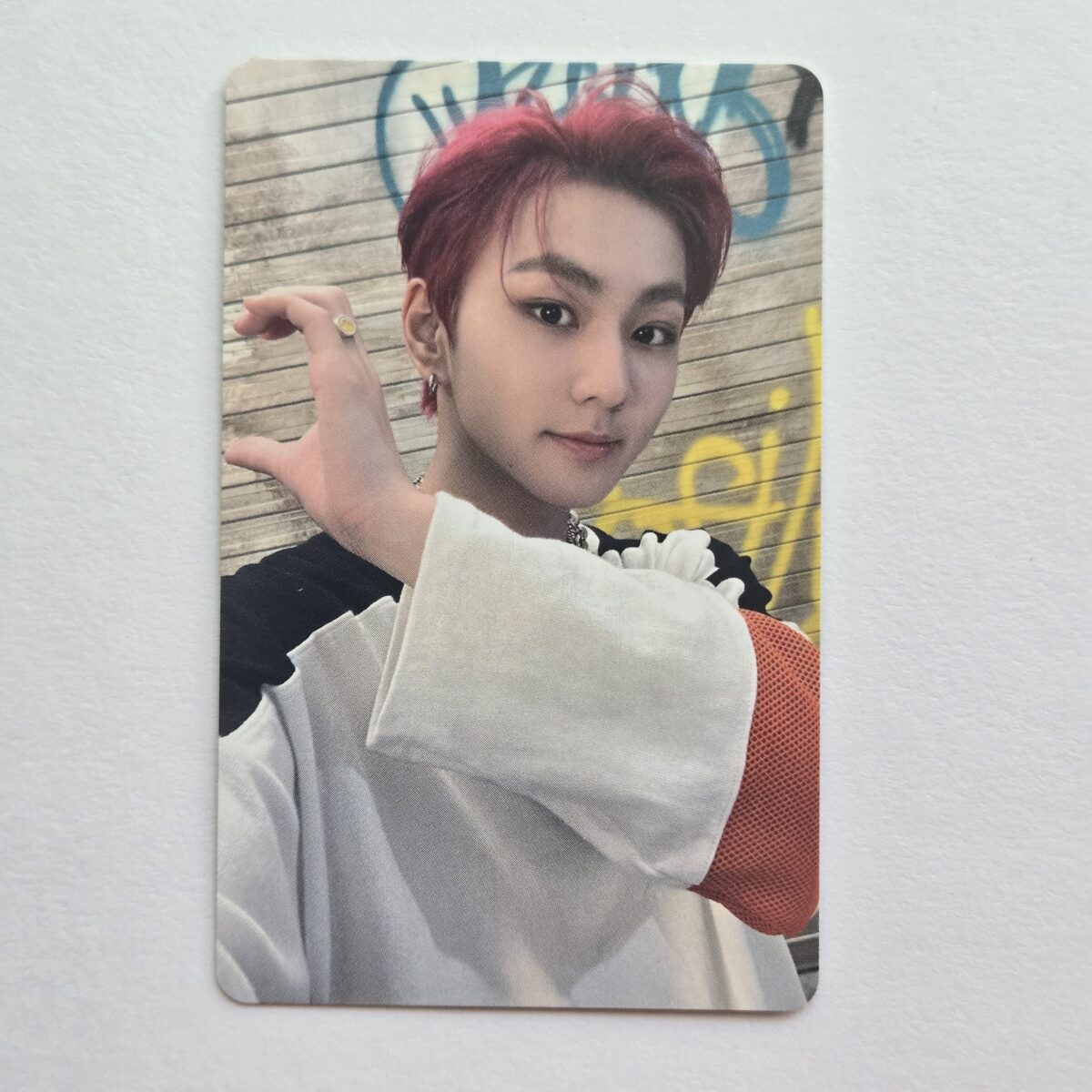 Enhypen 定め Sadame Standard Photocard