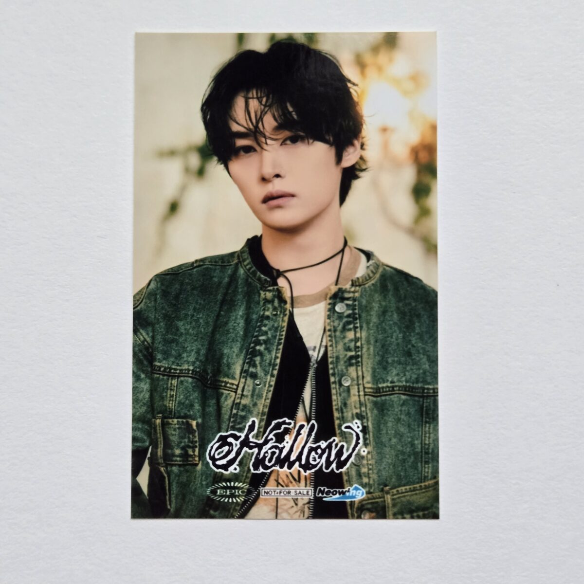 Stray Kids Hollow Neowing POB Sticker