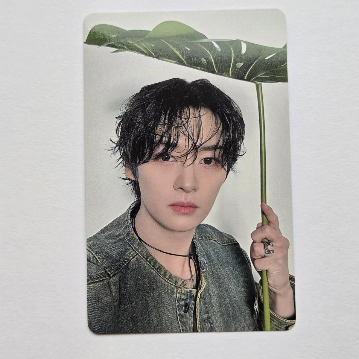 Stray Kids dominATE JAPAN venue limited photocard