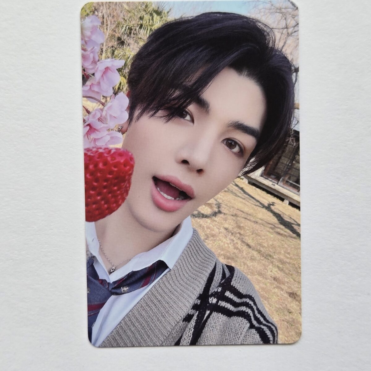 &TEAM 月狼 Go in Blind Weverse Lucky Draw Photocard