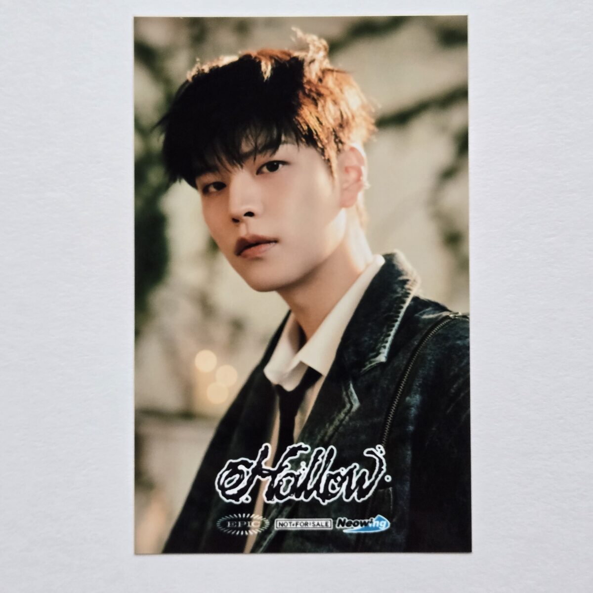 Stray Kids Hollow Neowing POB Sticker