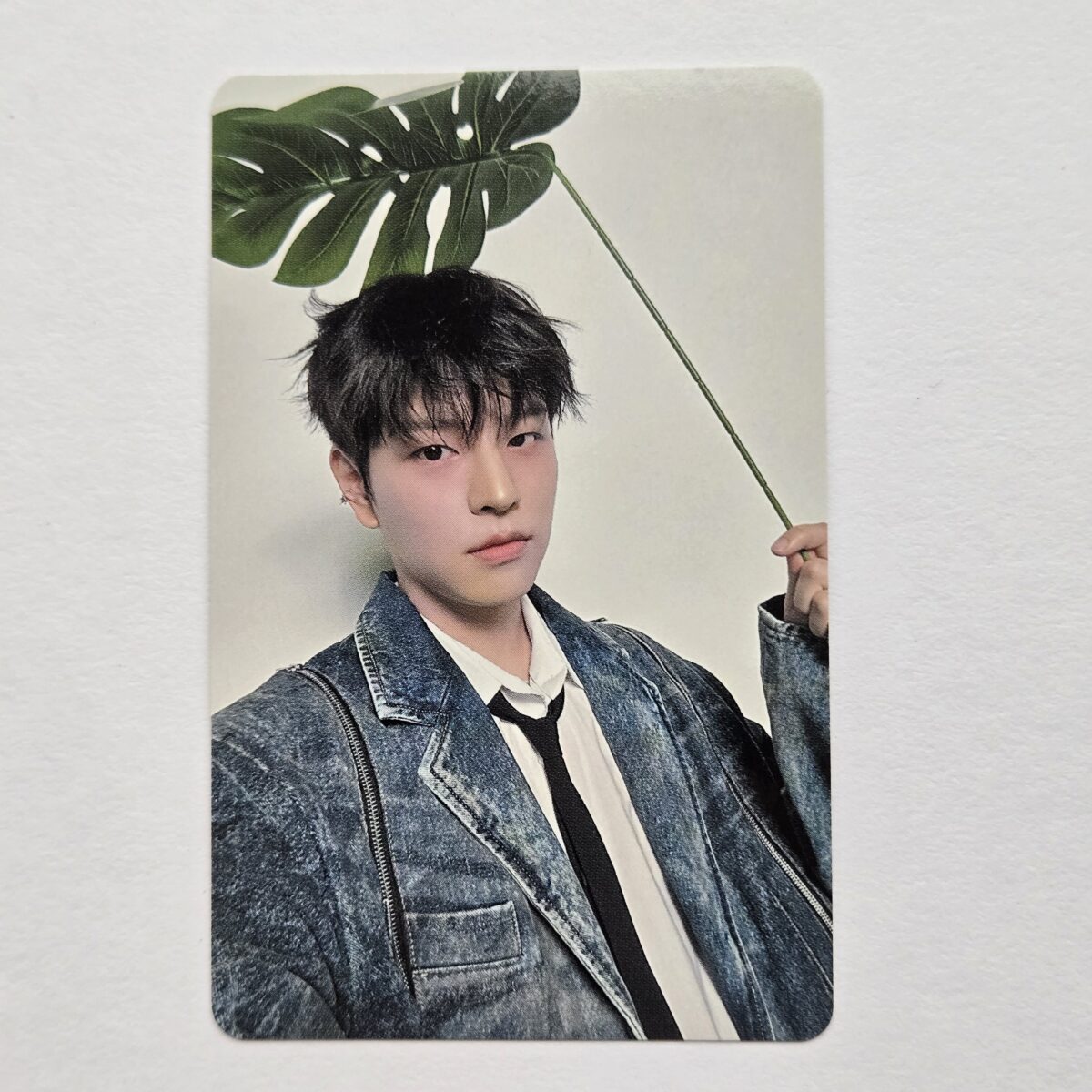Stray Kids dominATE JAPAN venue limited photocard