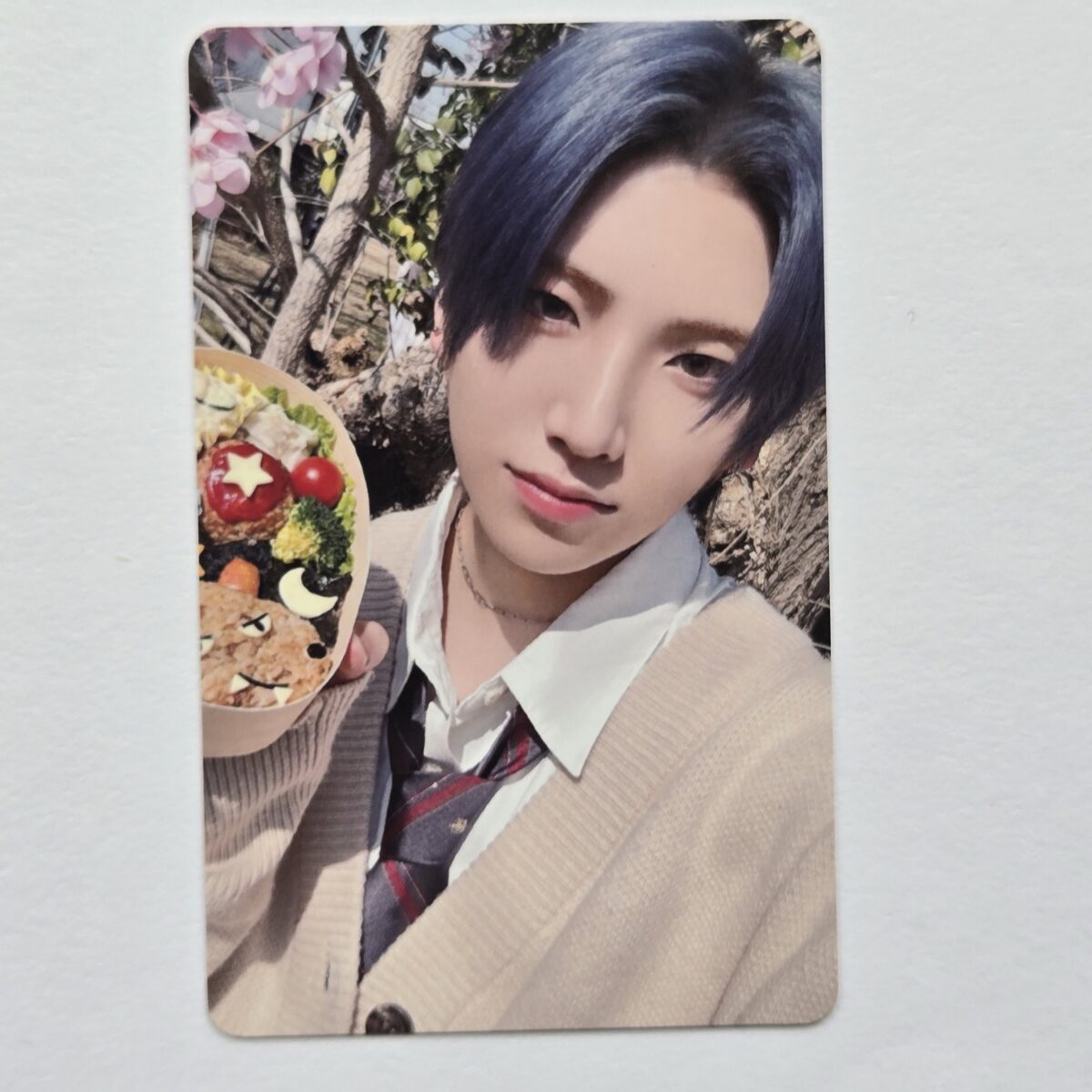&TEAM 月狼 Go in Blind Weverse Lucky Draw Photocard