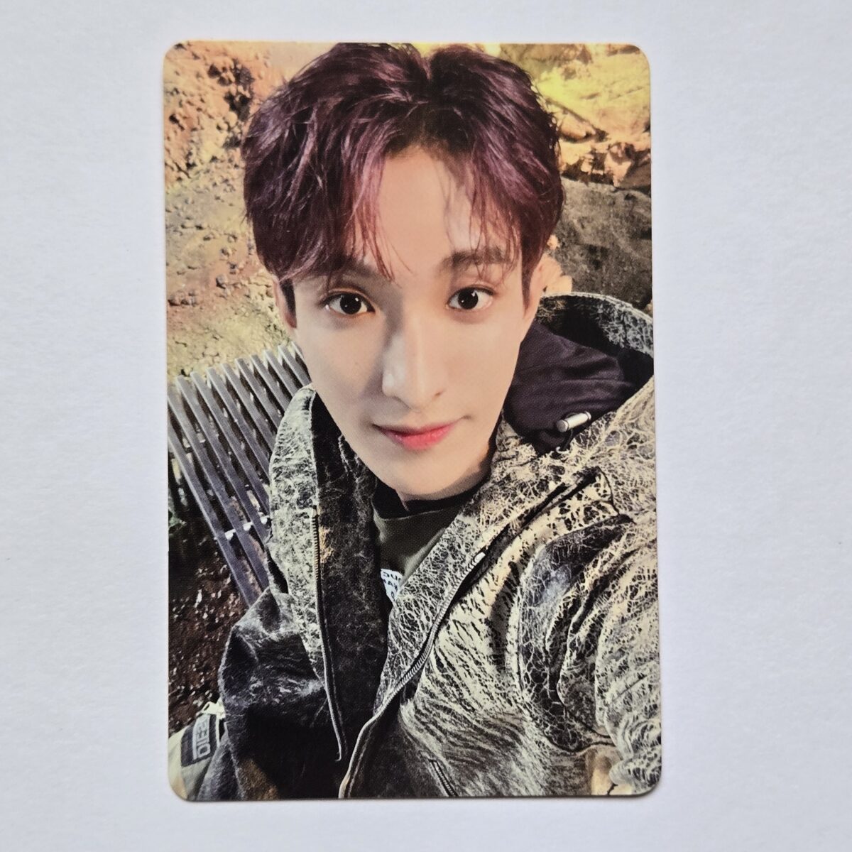 Seventeen Always Yours B ver photocard