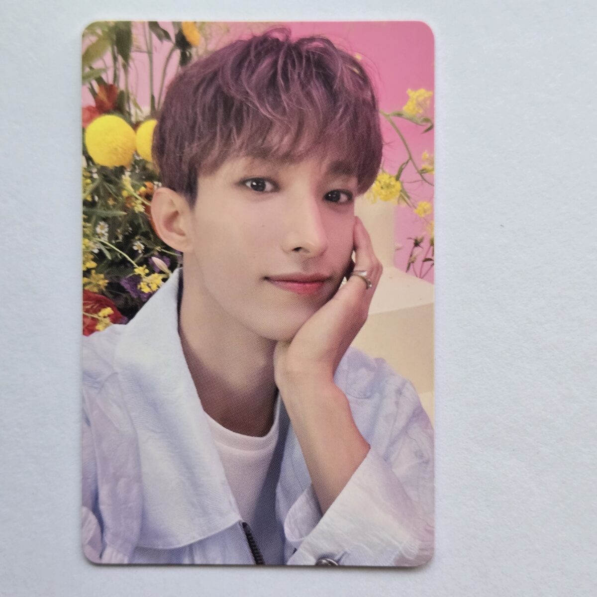 Seventeen Always Yours Regular ver photocard