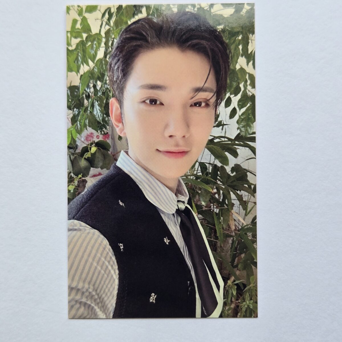 Seventeen Spill the feels TOKYO venue limited Photocard UMS