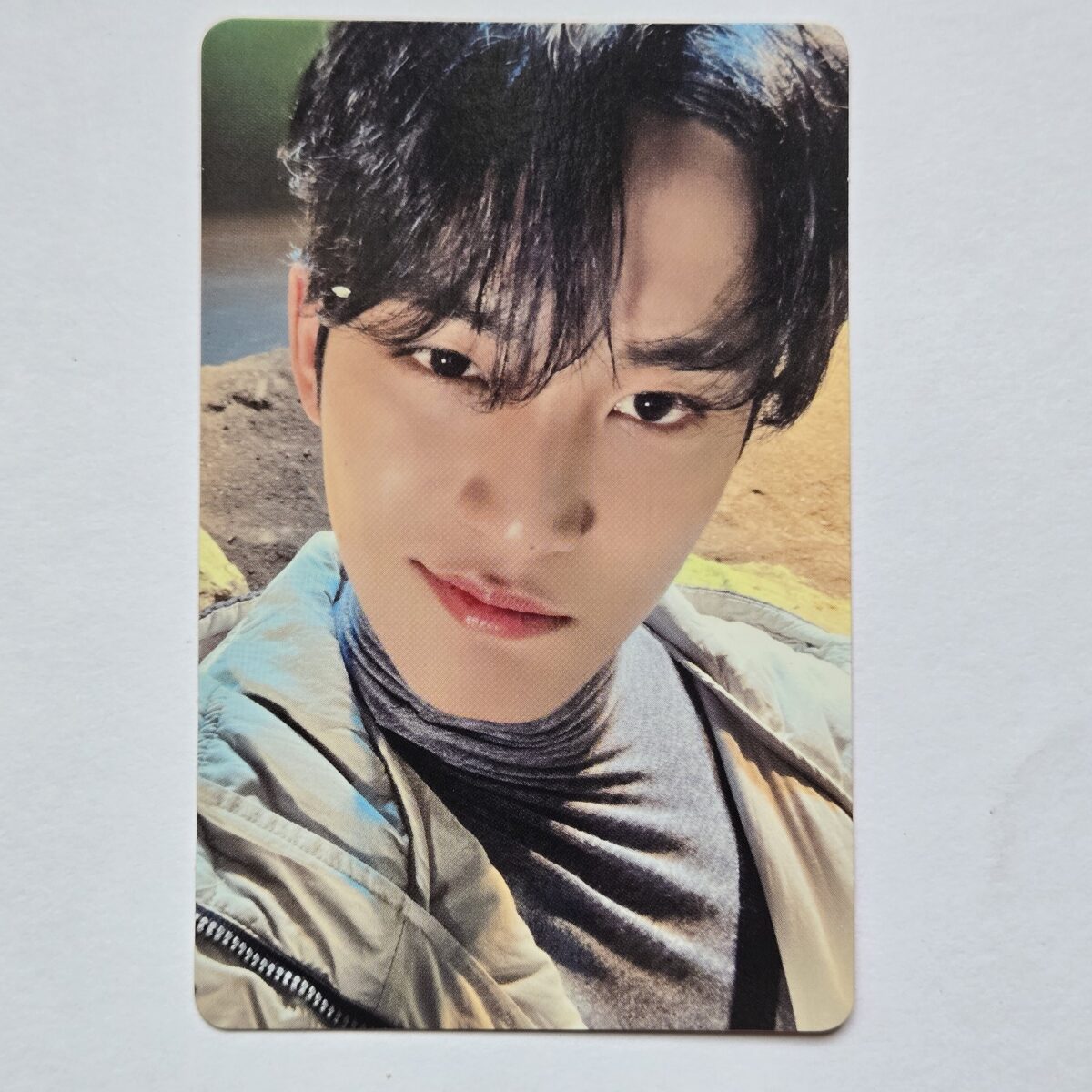 Seventeen Always Yours B ver photocard