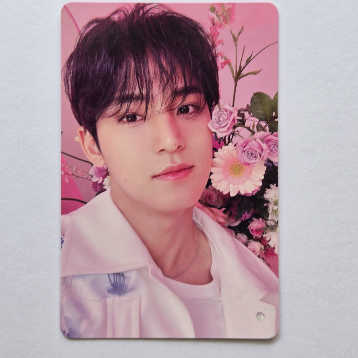 Seventeen Always Yours Regular ver photocard