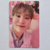 Seventeen Always Yours Regular ver photocard